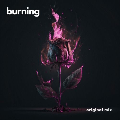 Buy EDM Ghost Production track - Burning