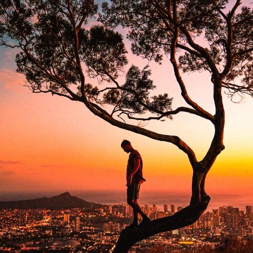 Buy EDM Ghost Production track - Life On Hold