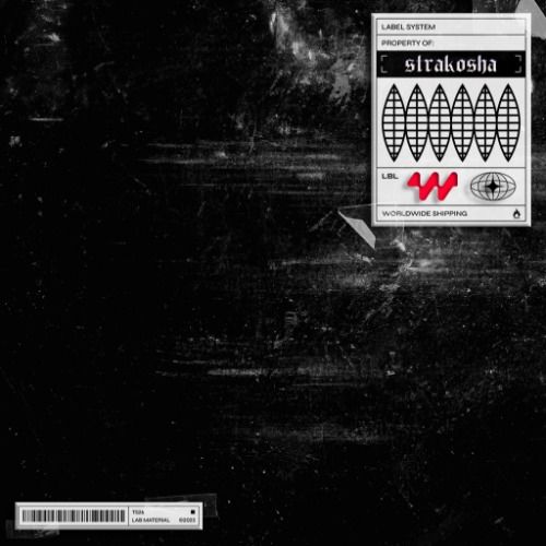 Buy EDM Ghost Production track - Real Bleu Clair