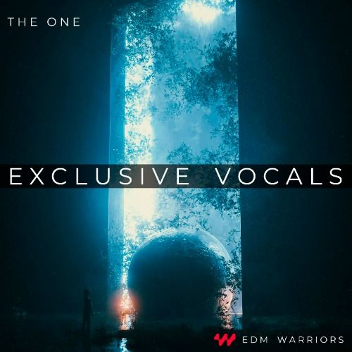 Buy EDM Ghost Production track - The One