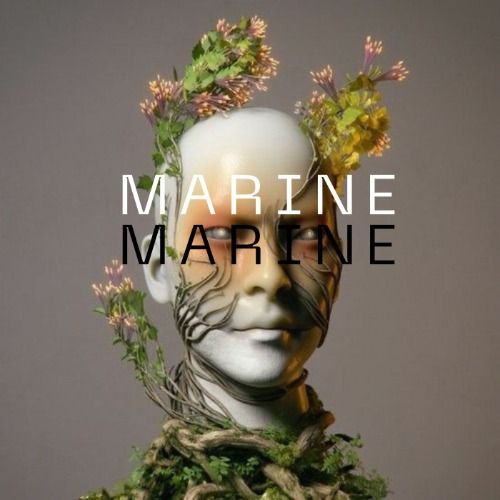 Buy EDM Ghost Production track - Marine