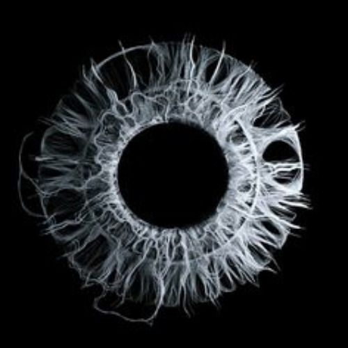 Buy EDM Ghost Production track - Breathe