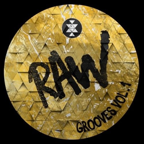 Buy EDM Ghost Production track - Solid Grooves Raw