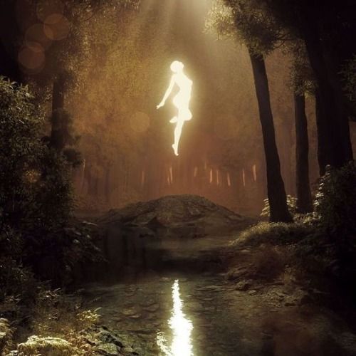 Buy EDM Ghost Production track - Midnight Drive