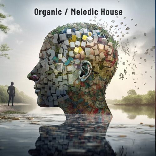 Buy EDM Ghost Production track - Organic Melodic House