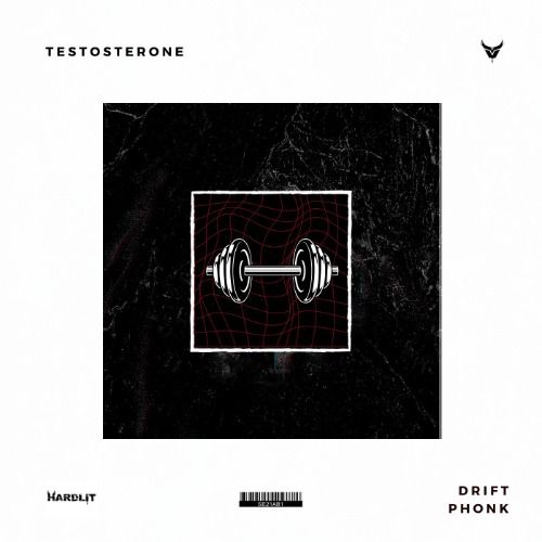 Buy EDM Ghost Production track - Testosterone