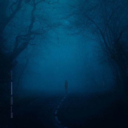 Buy EDM Ghost Production track - Snowfall Vibe