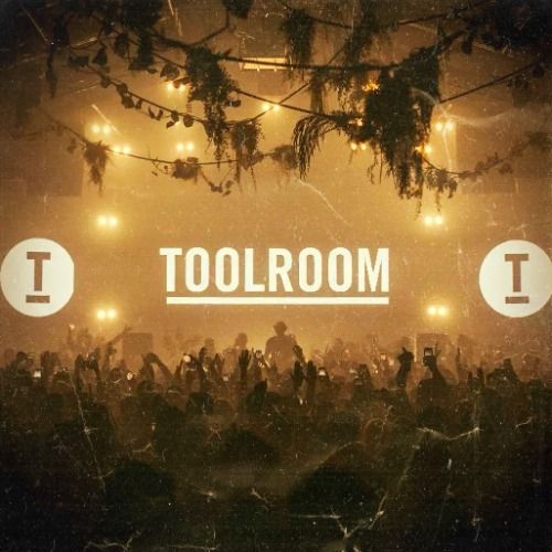 Buy EDM Ghost Production track - Gotta Love