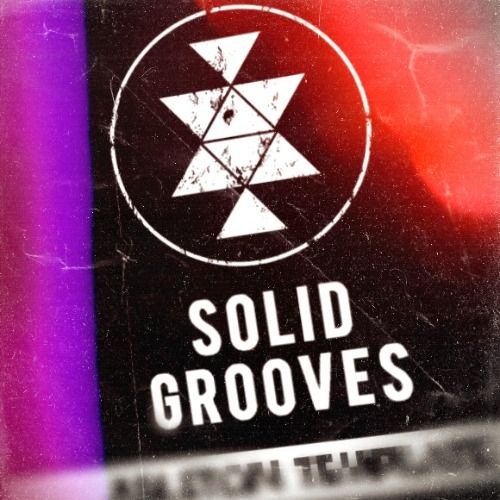 Buy EDM Ghost Production track - Panjabi Groove