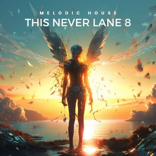 Buy EDM Ghost Production track - This Never Lane 8