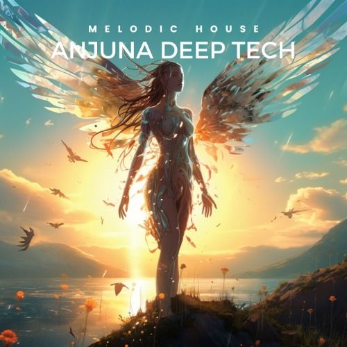 Buy EDM Ghost Production track - Anjuna Deep Tech
