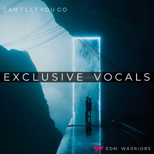 Buy EDM Ghost Production track - Can't Let You Go