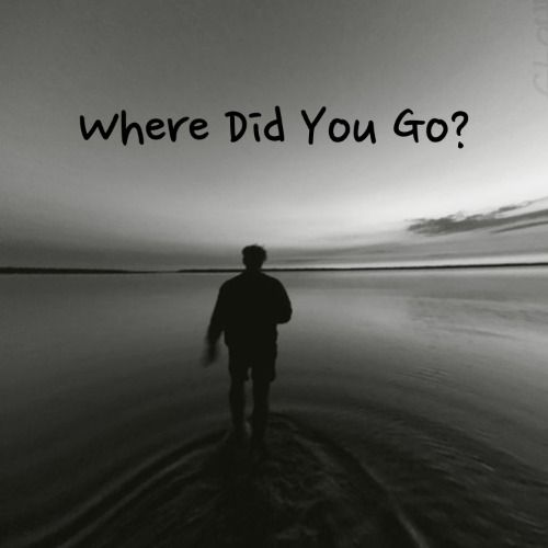 Buy EDM Ghost Production track - Where Did You Go