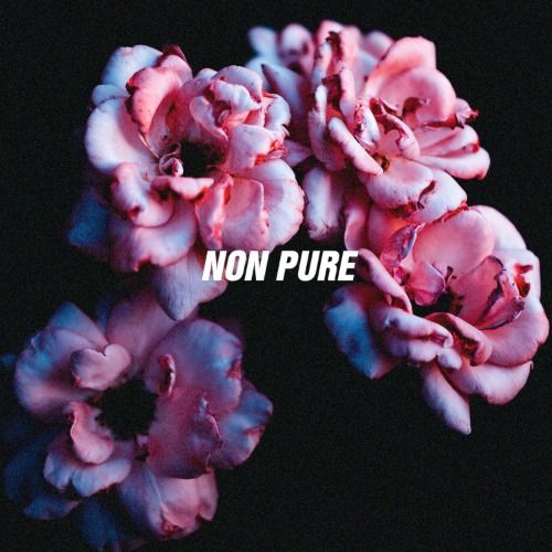 Buy EDM Ghost Production track - Non Pure