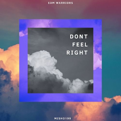 Buy EDM Ghost Production track - Don't Feel Right