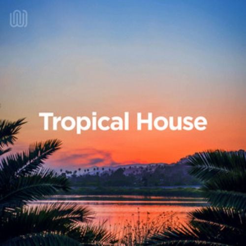 Buy EDM Ghost Production track - Tropical Pop