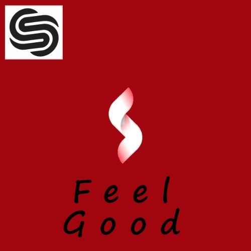 Buy EDM Ghost Production track - Feel Good (House)