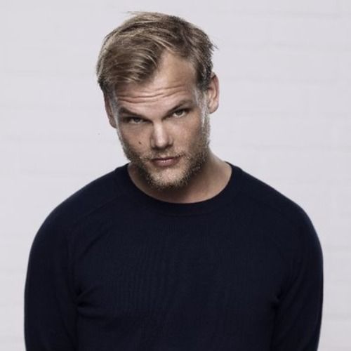 Buy EDM Ghost Production track - Avicii Style