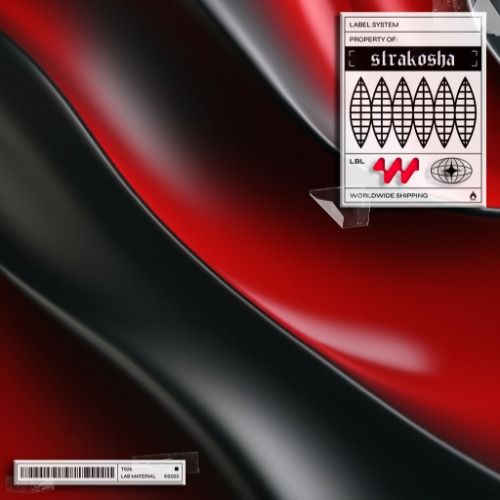 Buy EDM Ghost Production track - STMPD x Flexin' Tukai