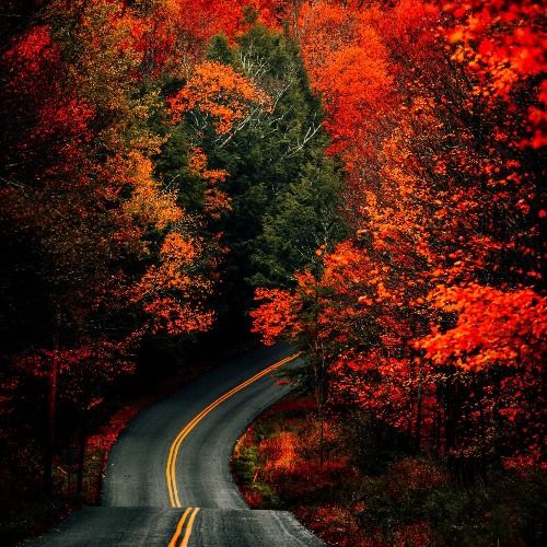 Buy EDM Ghost Production track - This Is My Way