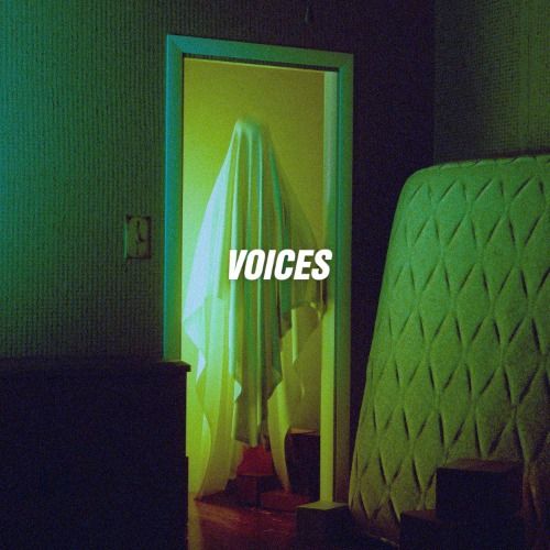 Buy EDM Ghost Production track - Voices