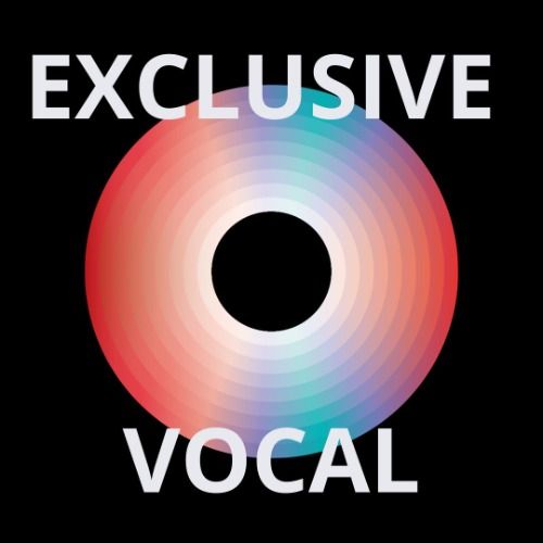 Buy EDM Ghost Production track - Friday Night