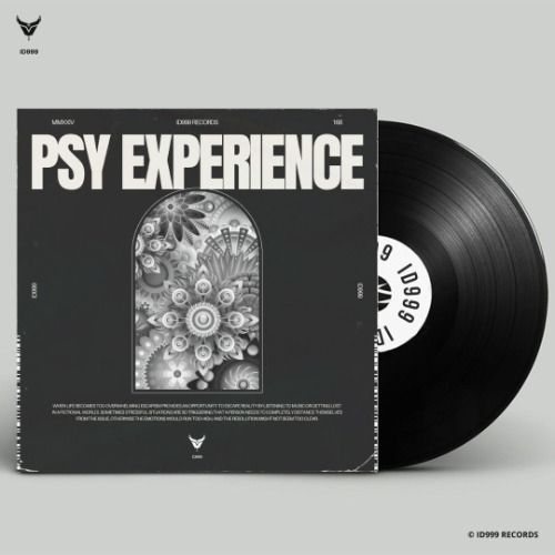 Buy EDM Ghost Production track - Psychedelic Experience