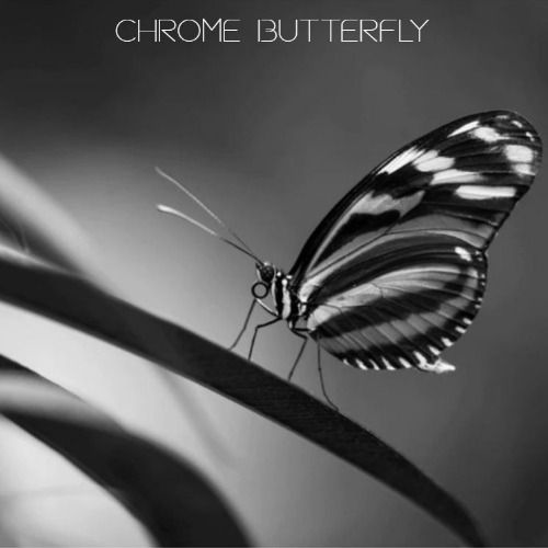 Buy EDM Ghost Production track - Chrome Butterfly
