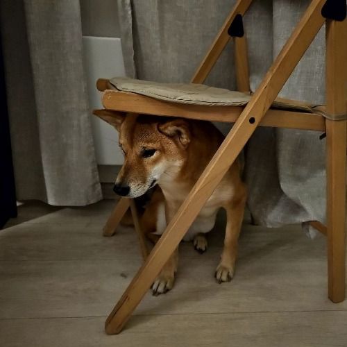 Buy EDM Ghost Production track - Energy Booster