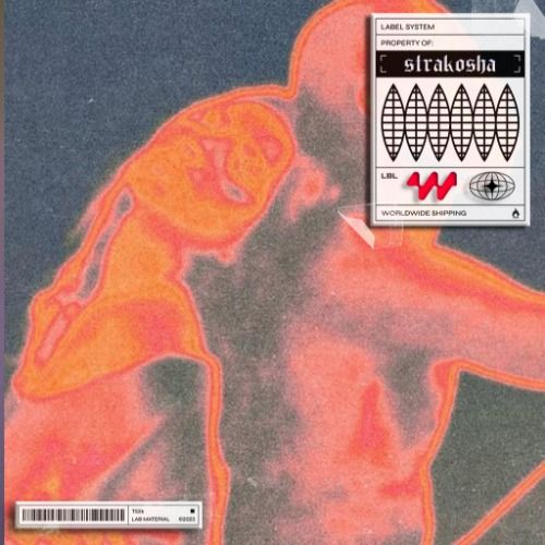 Buy EDM Ghost Production track - From FHM To STMPD