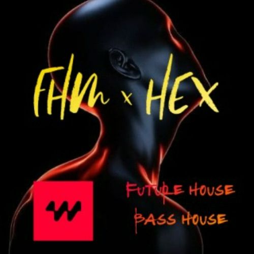 Buy EDM Ghost Production track - FHM x HEX