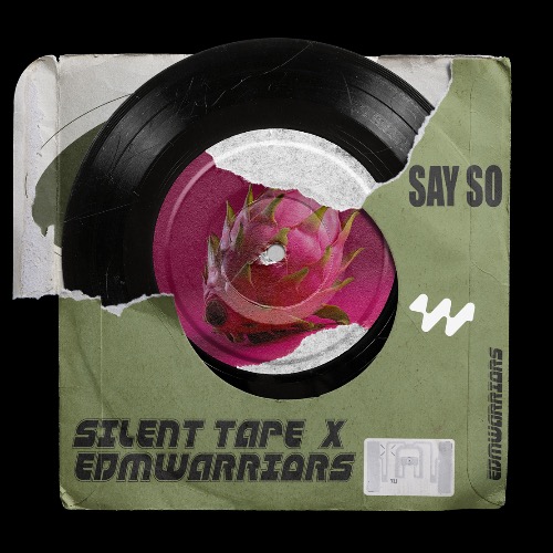 Buy EDM Ghost Production track - Say So