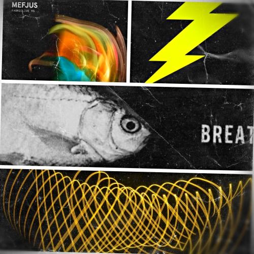 Buy EDM Ghost Production track - Blunt Beats