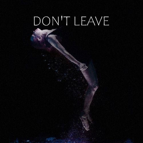 Buy EDM Ghost Production track - Don't Leave
