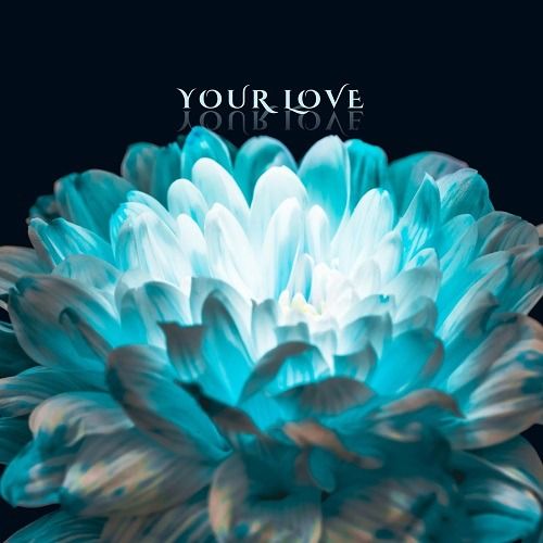 Buy EDM Ghost Production track - Your Love