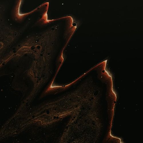 Buy EDM Ghost Production track - Fluid