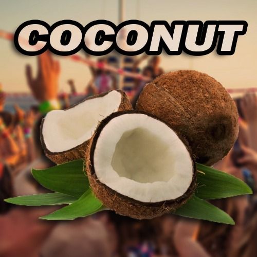 Buy EDM Ghost Production track - COCONUT