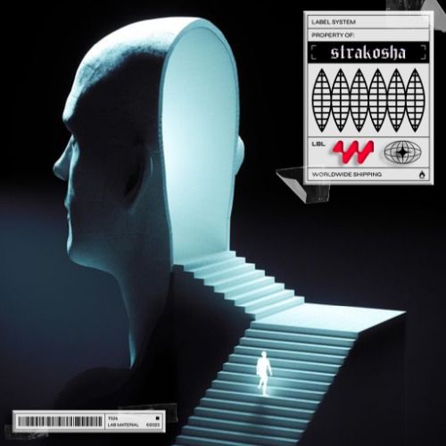 Buy EDM Ghost Production track - Dom Dolla & Nuzb