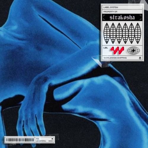 Buy EDM Ghost Production track - STMPD x NCS