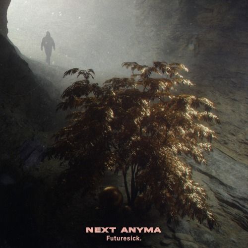 Buy EDM Ghost Production track - Next Anyma