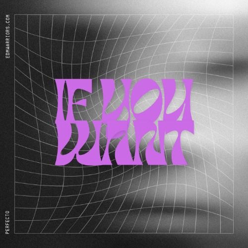 Buy EDM Ghost Production track - If You Want