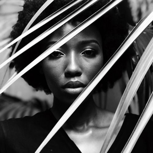 Buy EDM Ghost Production track - Afro KeineMusik Style