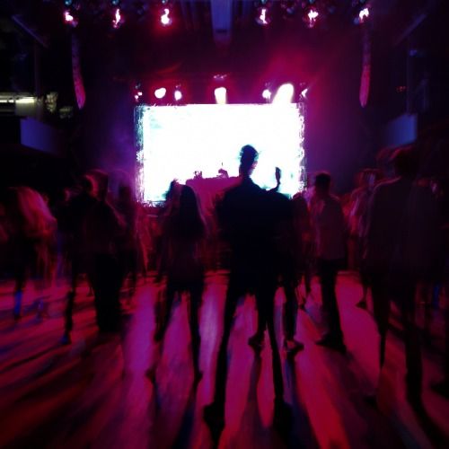 Buy EDM Ghost Production track - ISOxo Bop