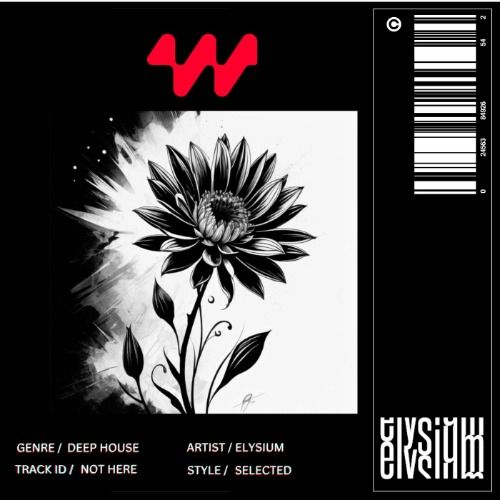 Buy EDM Ghost Production track - Not Here