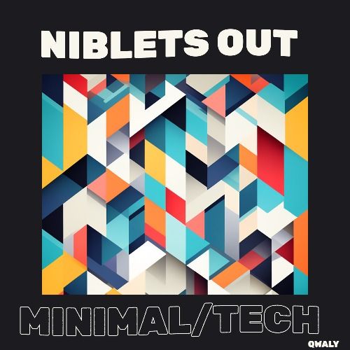 Buy EDM Ghost Production track - Niblets Out