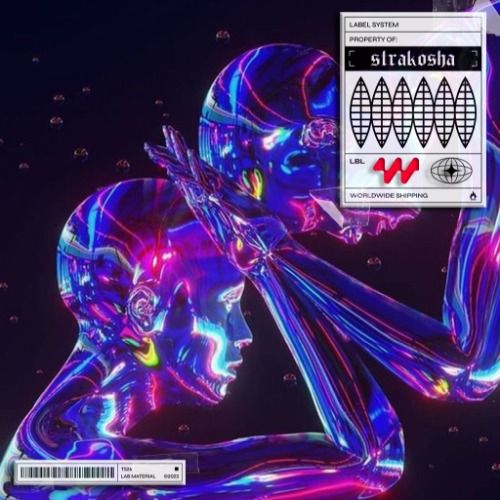 Buy EDM Ghost Production track - Nuzb x STMPD