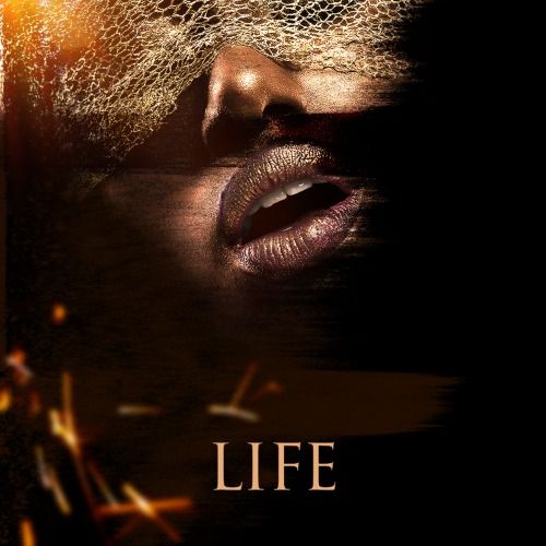 Buy EDM Ghost Production track - Life