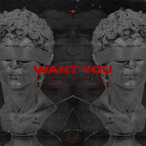 Buy EDM Ghost Production track - Want You