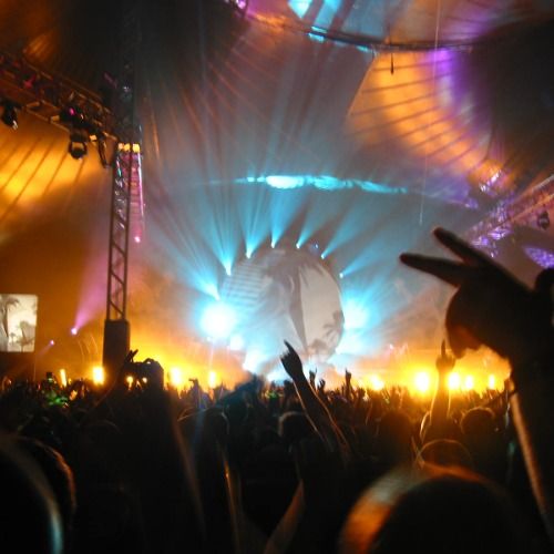 Buy EDM Ghost Production track - Afro 5