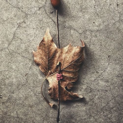 Buy EDM Ghost Production track - Keni Afro Music